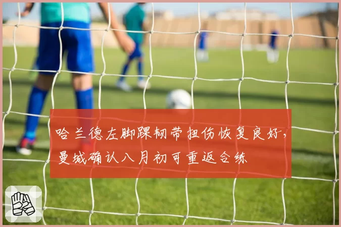 哈兰德左脚踝韧带扭伤恢复良好,曼城确认八月初可重返合练
