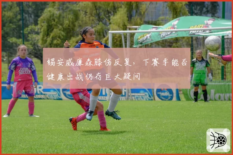 锡安威廉森膝伤反复，下赛季能否健康出战仍存巨大疑问