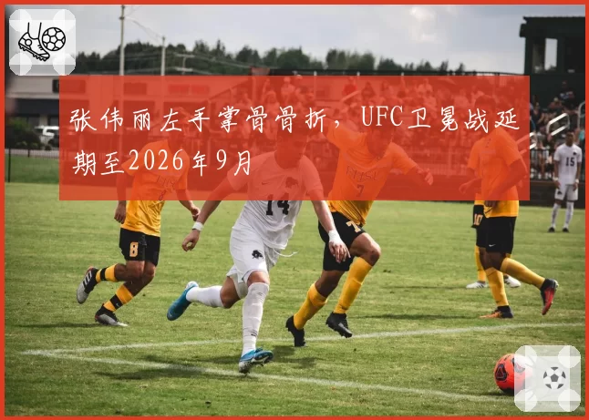 张伟丽左手掌骨骨折，UFC卫冕战延期至2026年9月