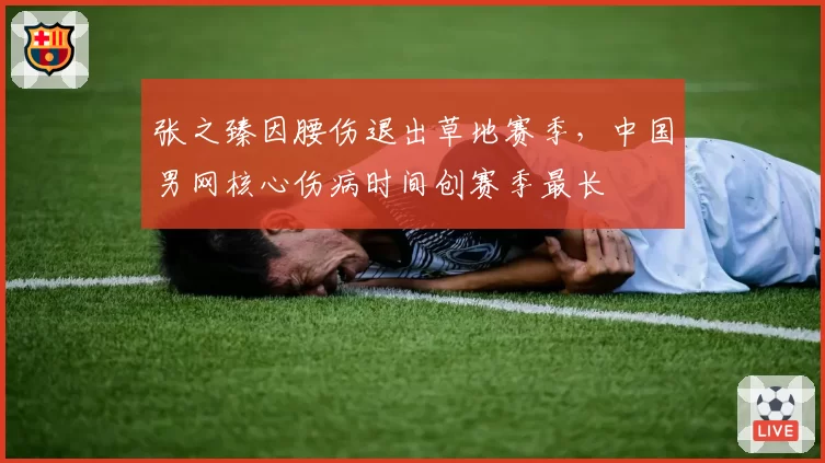 张之臻因腰伤退出草地赛季,中国男网核心伤病时间创赛季最长