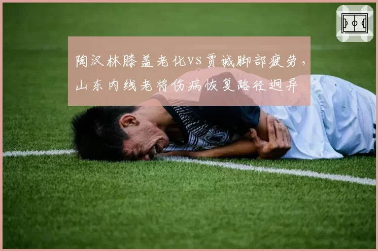 陶汉林膝盖老化vs贾诚脚部疲劳，山东内线老将伤病恢复路径迥异