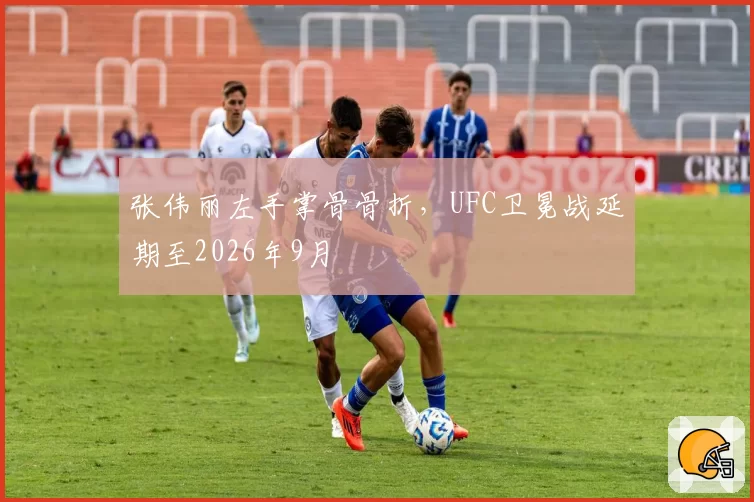 张伟丽左手掌骨骨折,UFC卫冕战延期至2026年9月